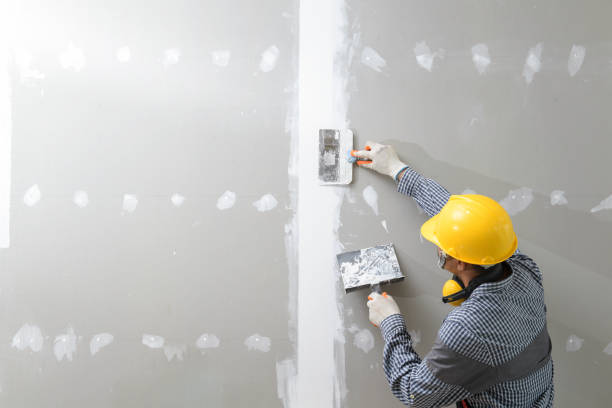 Best Forensic Mold Investigation  in Westmoreland, TN