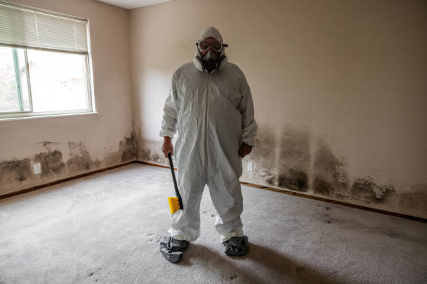 Best Attic Mold Removal  in Westmoreland, TN