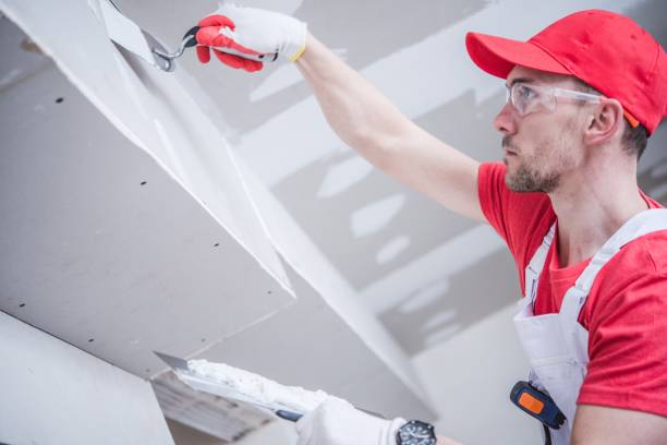 Best Industrial Mold Remediation  in Westmoreland, TN
